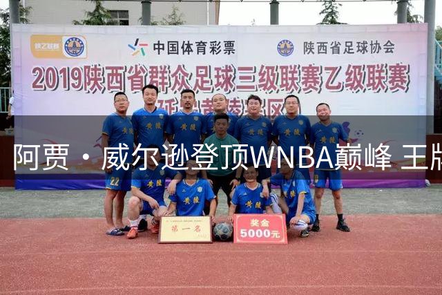 阿贾·威尔逊登顶WNBA巅峰 王牌队用数据见证传奇